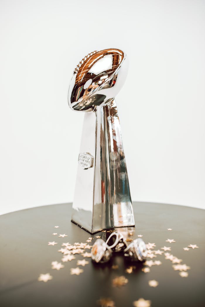 Shiny silver championship trophy on display with scattered stars and rings.